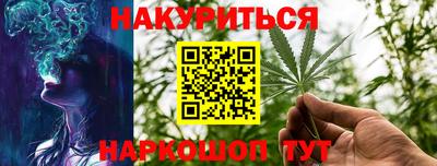 индика Заводоуковск
