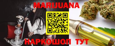 индика Заводоуковск