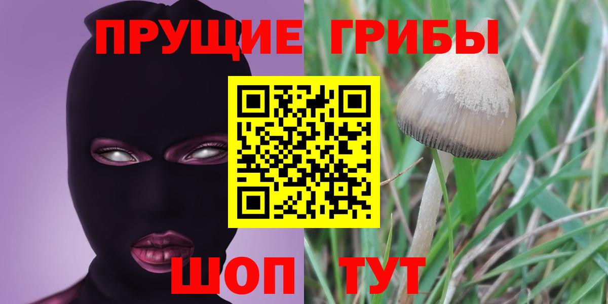 Галлюциногенные грибы MAGIC MUSHROOMS Краснодар